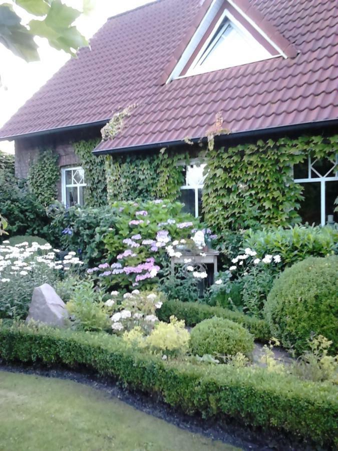 Zaunkoenig Apartment Eversmeer